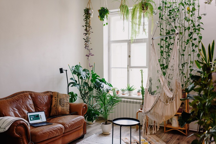 Desain Interior Biophilic, Sumber: pexels.com